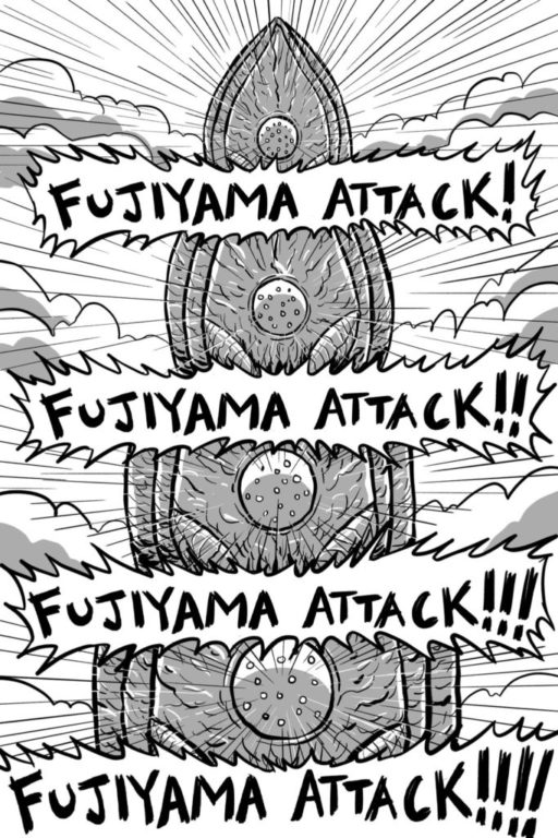 FujiAttack-p13